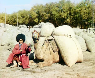 Turkmenischer Mann posiert mit einem Kamel, beladen mit Baumwollsäcken, Zentralasien, Russisches Reich, zwischen 1905 und 1915